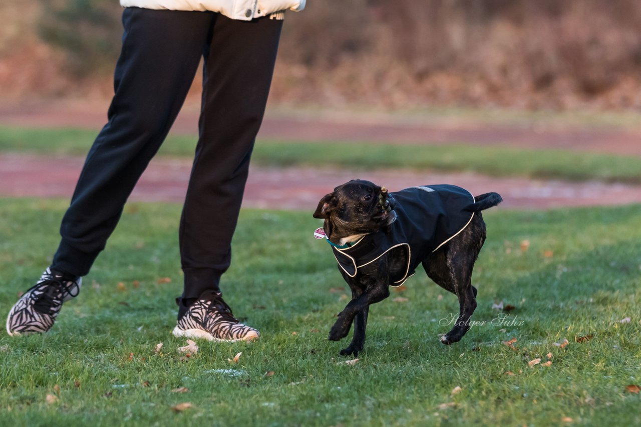 Bild 30 - Hundeshooting